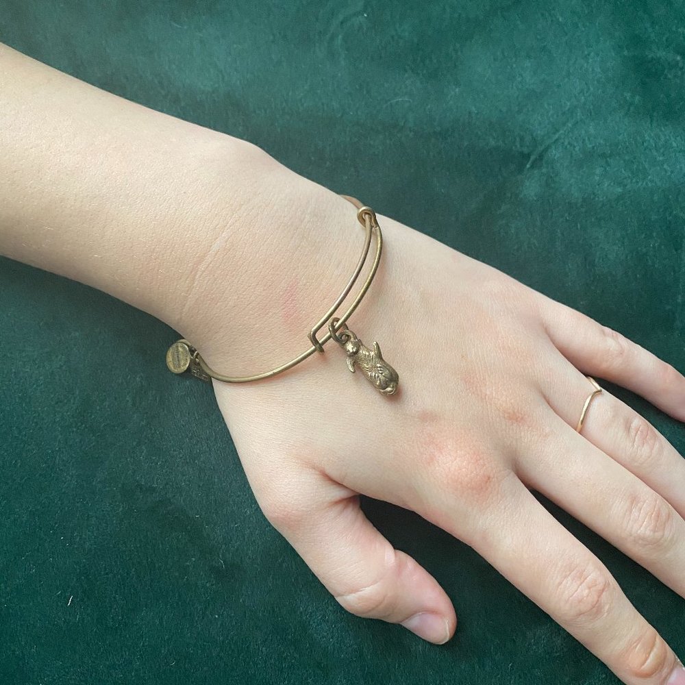 Alex and Ani "Side by Side" Otter Bracelet | Gold